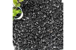 ANOTHERA 18 lb 1" Natural Polished Black River Rock for Plants,Aquarium,Vase,Garden Landscape Rocks and Outdoor Decorative Stones