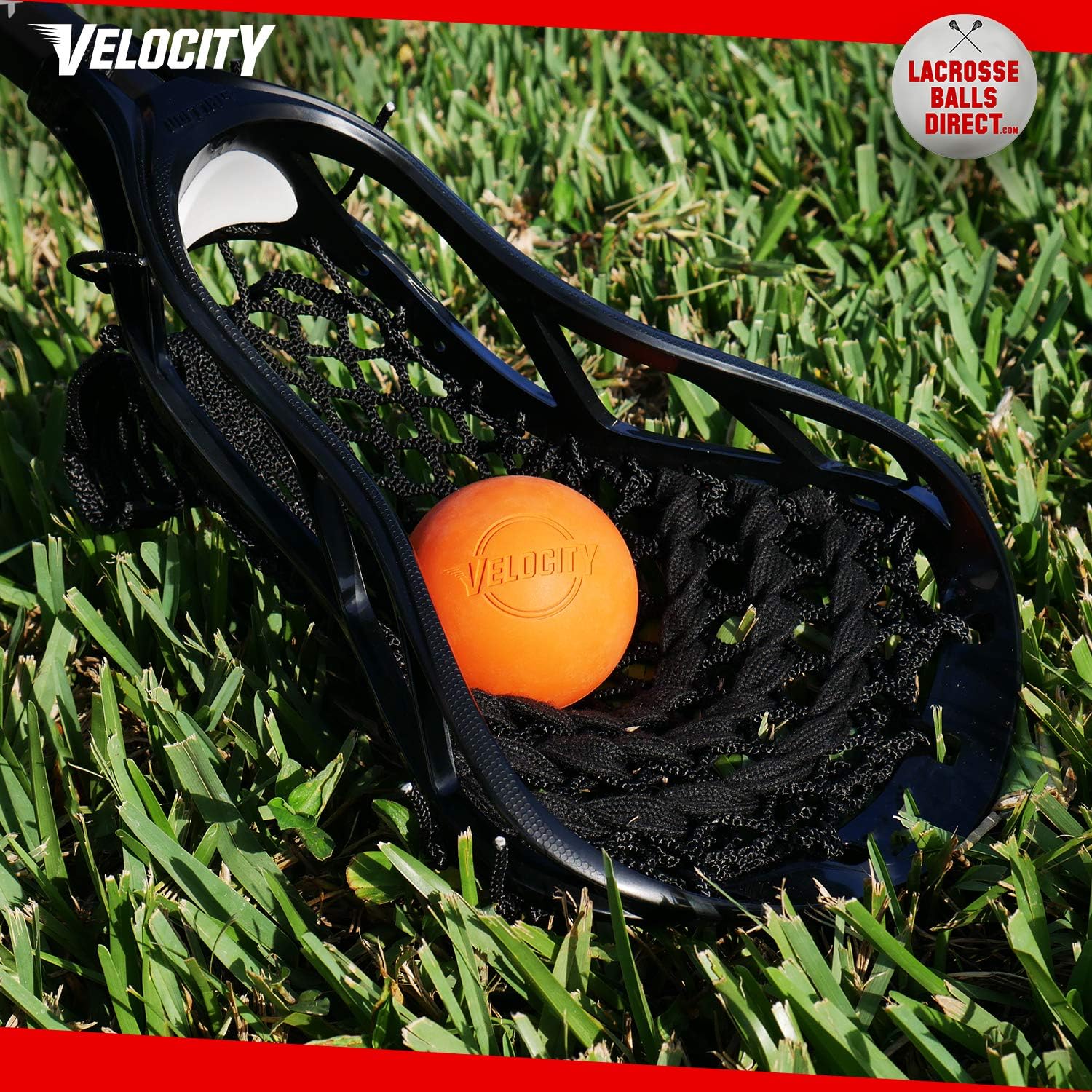 Velocity Lacrosse Balls – Official Sized NFHS, SEI, and NCAA Approved - Meets NOCSAE Standard | Approved Competition Colors and Single or Bulk Sizing Available. : Sports & Outdoors