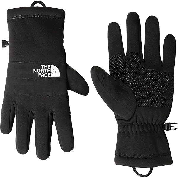 ❗セール❗TNF GLOBE Apex × Etip men' The North Face Men's