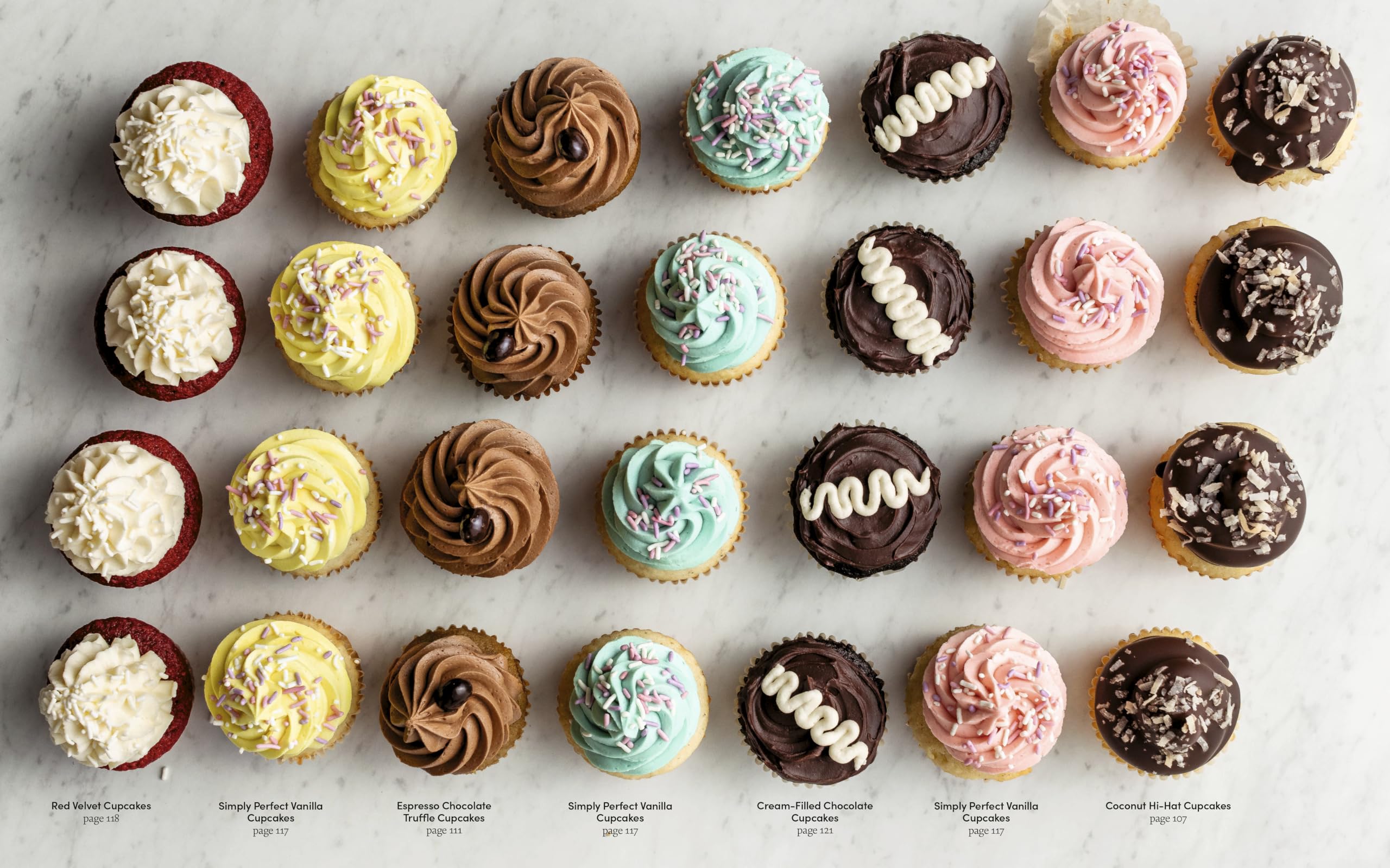 Sally's Baking 101: Foolproof Recipes from Easy to Advanced Sally's Baking 101: Foolproof Recipes from Easy to Advanced Hardcover Kindle Spiral-bound