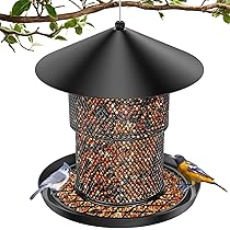 Tray Feeders to Attract Birds: Ultimate Guide for Year-Round Visitors