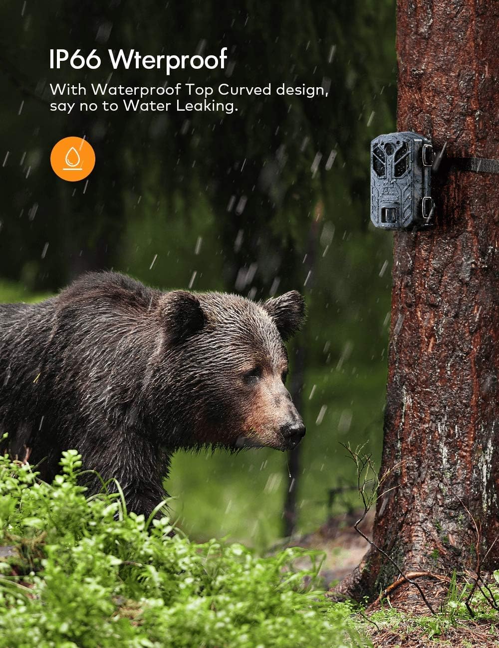 APEMAN Trail Camera 30MP 4K Hunting Cameras, 40 PCs IR LED Vivid Night Vision Wildlife Camera, Game Camera for Home Security and Outdoor Nature Wild Scouting: Camera & Photo