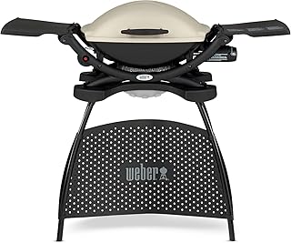 Weber 53060379 Gasgrill Q2000 mit Stand, Farbe Titan