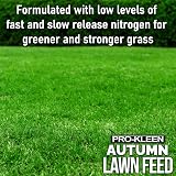 Pro-Kleen Autumn Lawn Feed 2.5kg - Green Up & Disease Prevention view 4