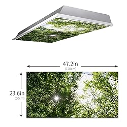 Drop Ceiling Light Covering Insert 4' x 2' feet