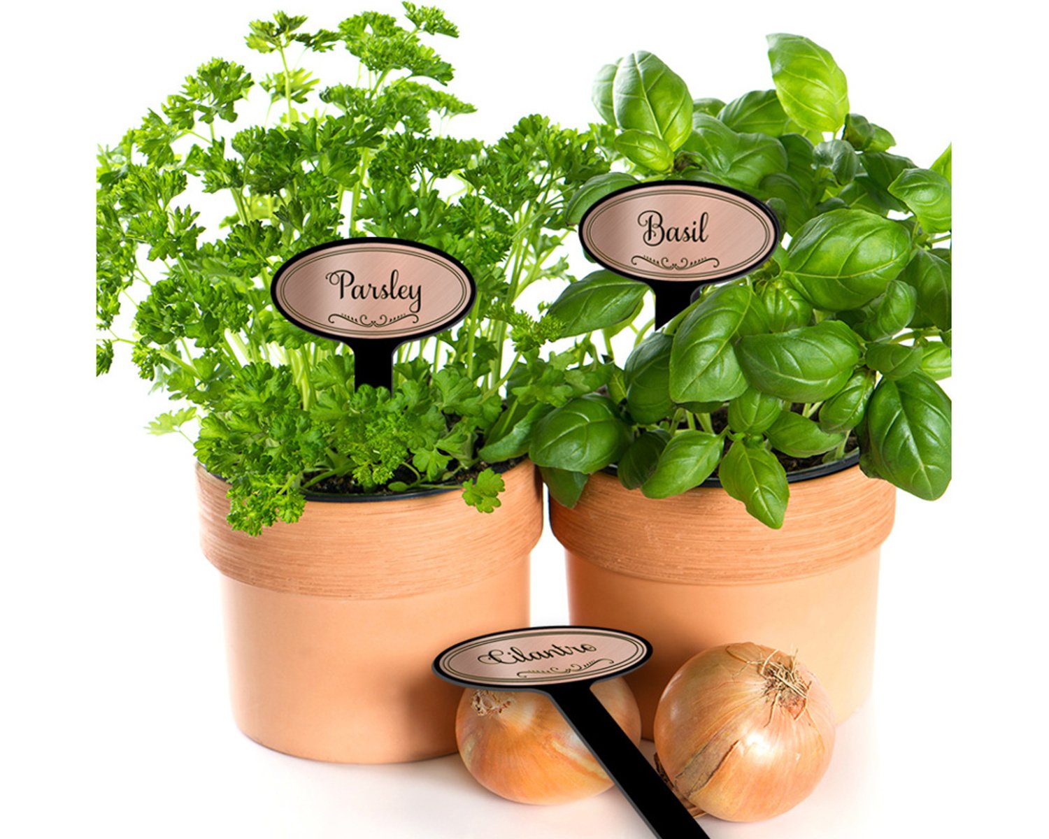 Patio, Lawn & Garden Red Tail Crafters Oval Top 08in Engraved Flexibrass Acrylic Herb Garden Stakes Plant Markers Copper Gardening