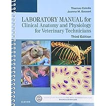 Laboratory Manual for Clinical Anatomy and Physiology for