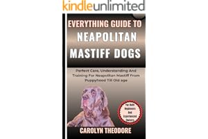 kindle best category lists