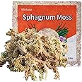 Yilotuce 5.5 oz Sphagnum Moss for Plants, Premium Compressed Sphagnum Moss for Orchids
