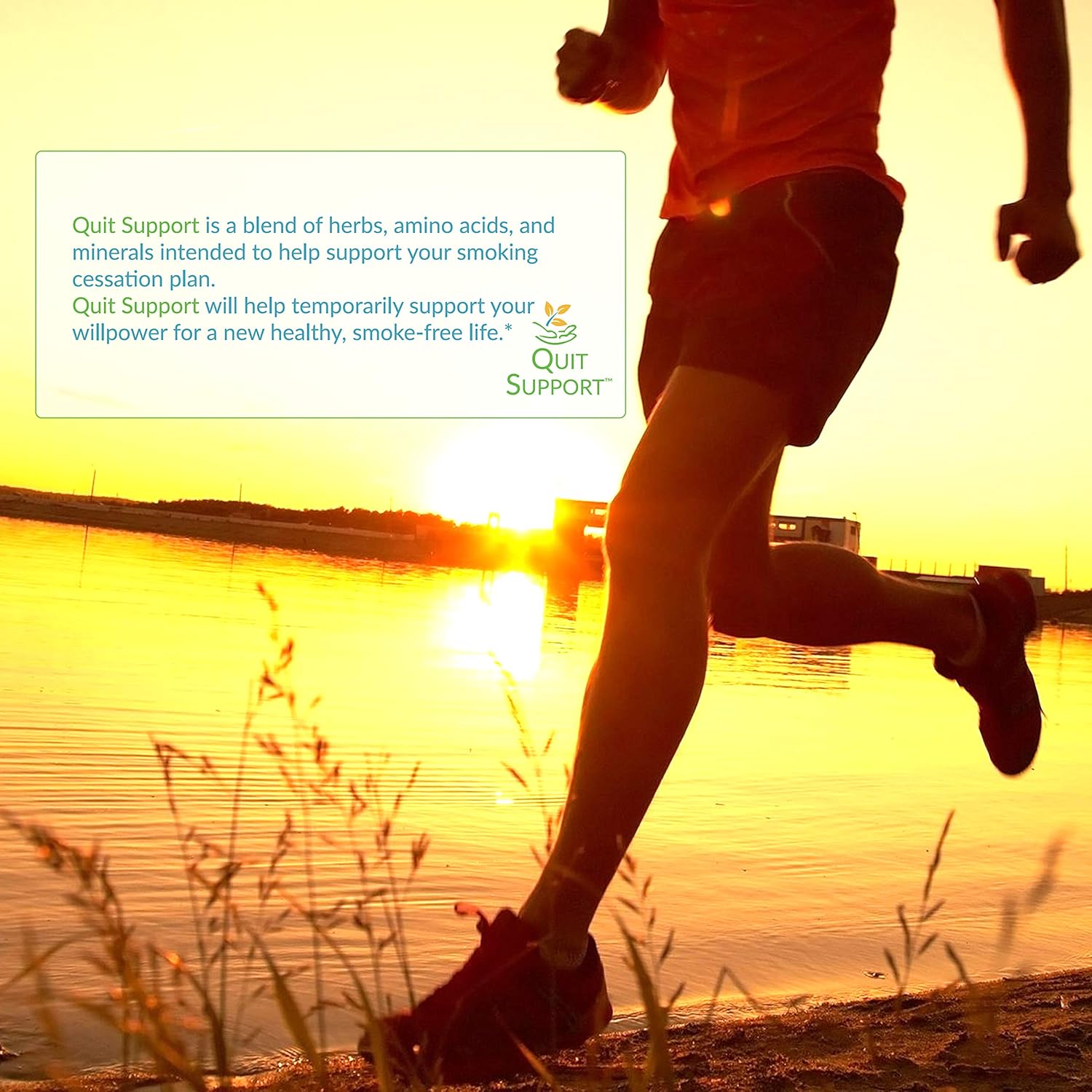 Quit Support Natural Stop Smoking Support 60 Capsules (1 Month Supply): Health & Personal Care