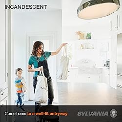 SYLVANIA Incandescent Light Bulb, 25W
