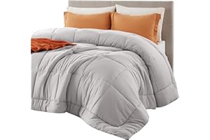Bedsure Duvet Insert Queen Comforter Light Grey - All Season Quilted Down Alternative Comforter for Queen Bed, 300GSM Mashine