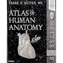 Atlas of Human Anatomy: NETTER, NETTER: 8600007152881