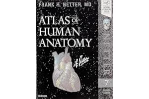 Atlas of Human Anatomy (Netter Basic Science)