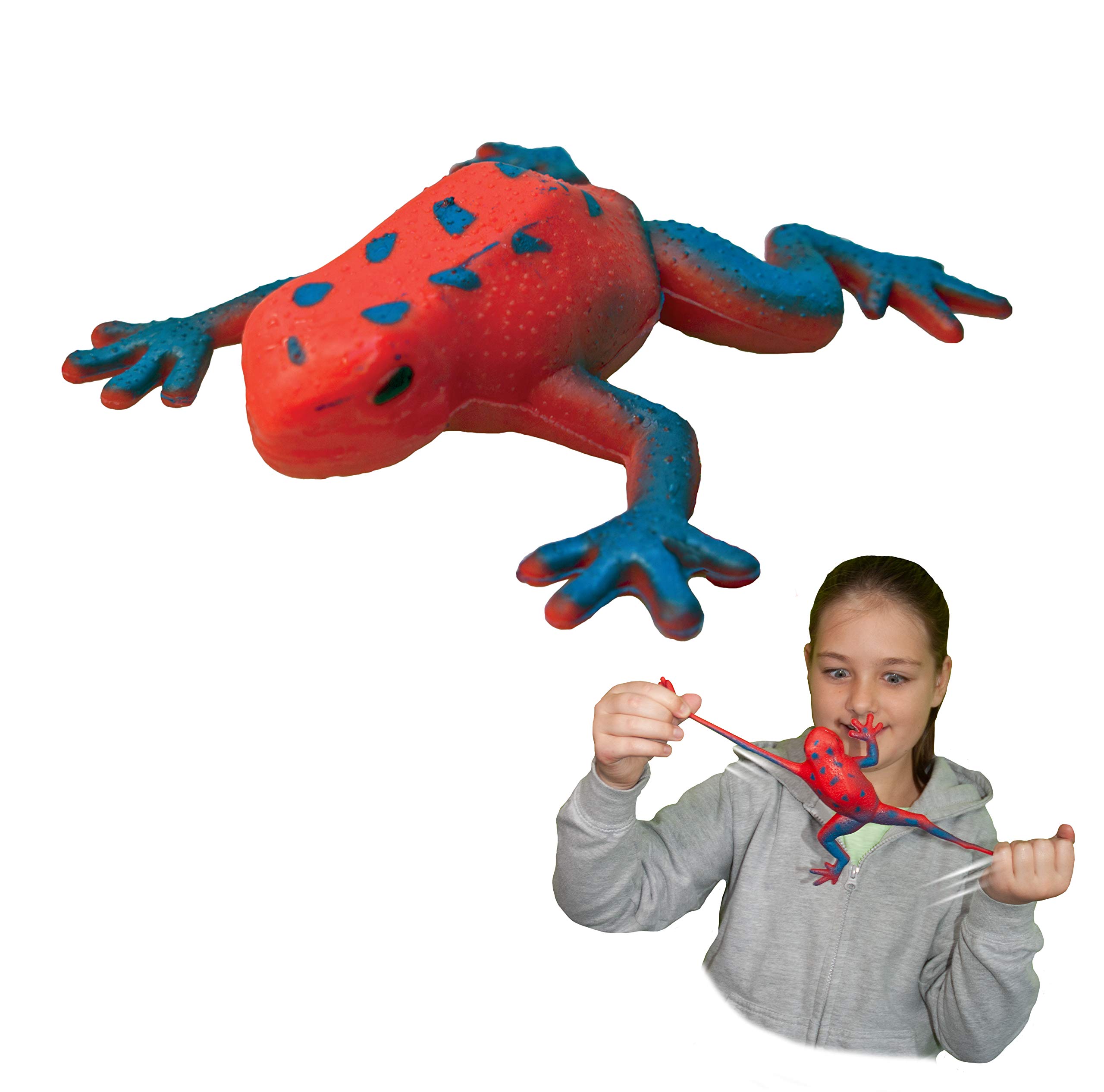 Rep Pals - Stretchy Strawberry Frog Toy by Deluxebase. Animal Shaped Squishy Sensory Fidget Toys, Stress Relief Squeeze Figure, Soft Flexible Rubber, Fun Fantasy Gift for Kids