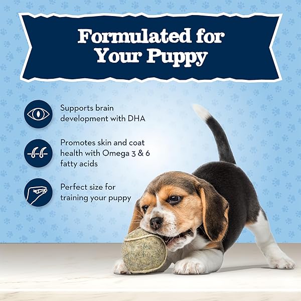 BLUE BUFFALO BABY BLUE TRAINING TREATS NATURAL PUPPY SOFT DOG TREATS, SAVORY CHICKEN 4-OZ BAG