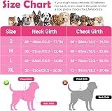 Funfox Dog Harness Small No Pull with Vertical Handle Reflective Strips Pink S view 2