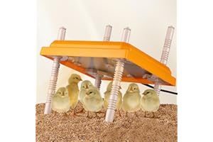 ZXZYHFTY Chicken Coop Heater, 10" x 10" Height Adjustable Chick Heater, Orange Poultry Heating Plate, Holds 10 Chicks, Brooder for Hatching Ducks, Chicks and Small Poultry - 15 Watts
