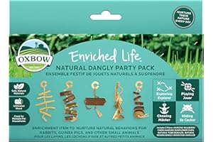 Oxbow Enriched Life Natural Dangly Party Pack, Rabbit Toys, Guinea Pig Toys, Enrichment for Bunny, Guinea Pig, Hamster Stuff, Rabbit Enrichment, Chinchilla, Rat, Chinchilla Cage Accessories