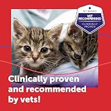 Feliway Friends 30 Day Cat Calming Diffuser Starter Kit 48ml view 8