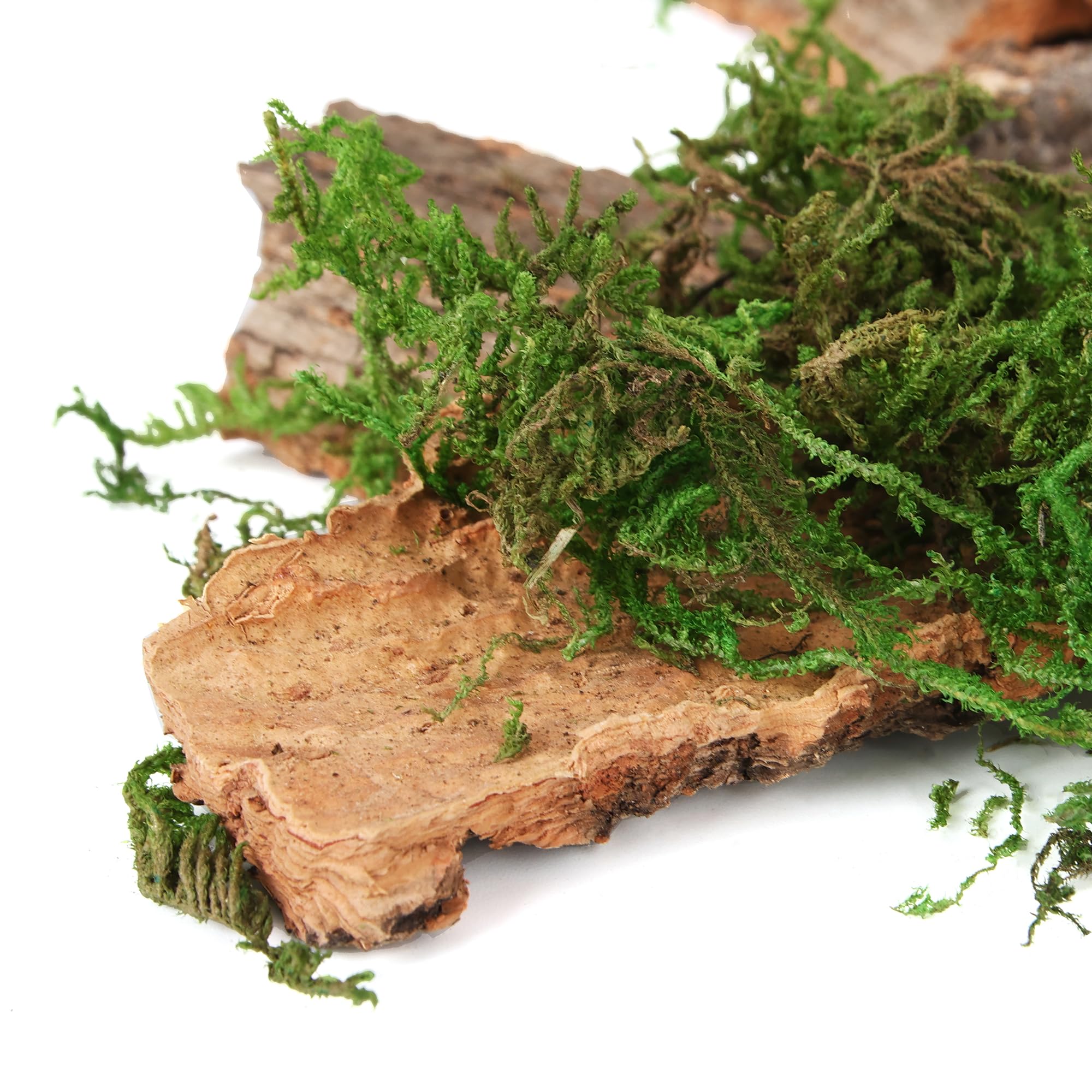 BYHER Fake Moss for Crafts, Assorted Treebark Fairy Garden Accessories Green Moss for Decorating, Tree Bark for Crafts, Terrarium, Floral Arrangements (Forest Green)