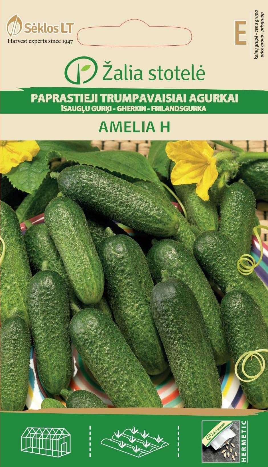 Seklos LT Cucumber Gherkin Amelia H Seed - 50 Seeds
