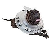 BooBooLoon Inflatable Pet Recovery Collar 1 Extra