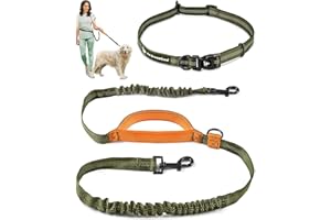 PET DREAMLAND Exquisite Hands-Free Dog Leash for Large Dogs: Ultimate Comfort & Freedom for Running, Walking, Hiking. Premium Quality, Durable & Versatile Dog Leash Belt. Your Dog Will Love This Waist Leash