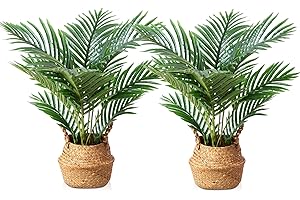 LOMANTO Fake Majesty Palm Plant 2Ft Artificial Plants for Home Decor Indoor Small Faux Trees in Pot Fake Tropical Plants for Housewarming Gift 2Pack