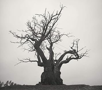 Sekai No Owari 10 19 初回限定盤 Amazon Com Music