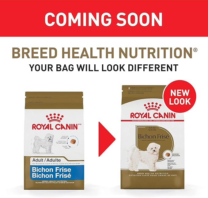 royal canin bichon frise puppy