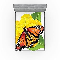 Ambesonne Butterfly 2 Pack Fitted Sheet, Moth