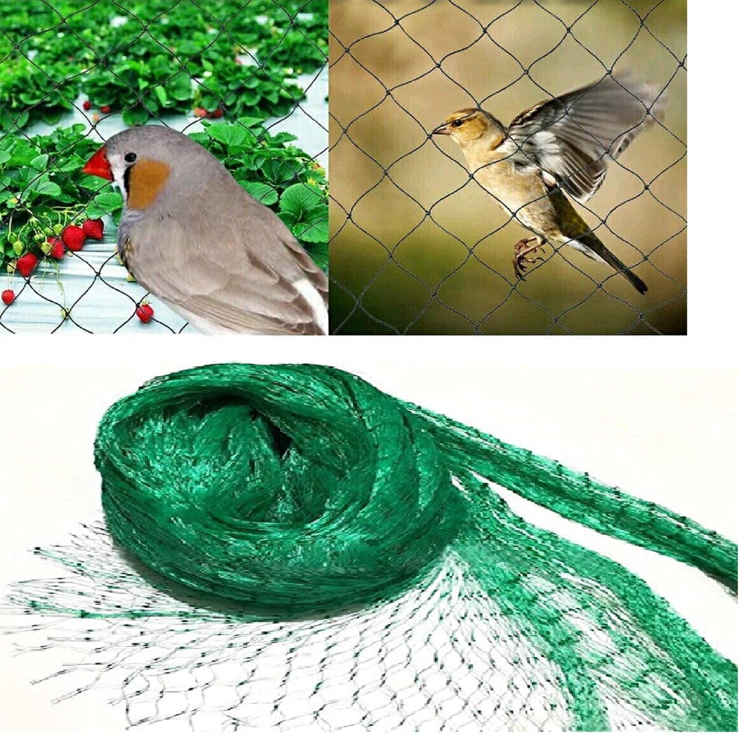 Ram 4m x 10m Vogelschutznetz für Pflanzenschutznetze zur ...