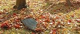 Draper 550mm Plastic Leaf Rake with 23 Teeth and Varnished Wood Handle view 2