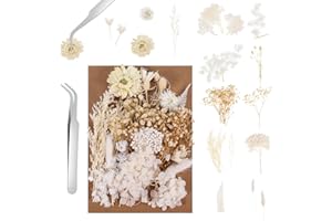 Auidy_6TXD Real Dried Flowers, Dried Flowers for Crafts, Natural Pressed Dried Flowers Leaves Mixed Everlasting Flowers for DIY Candle Resin Decoration Wedding Invitations Envelopes Crafts Making