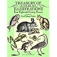 Treasury of Animal Illustrations: From Eighteenth-Century Sources (Dover Pictorial Archive)