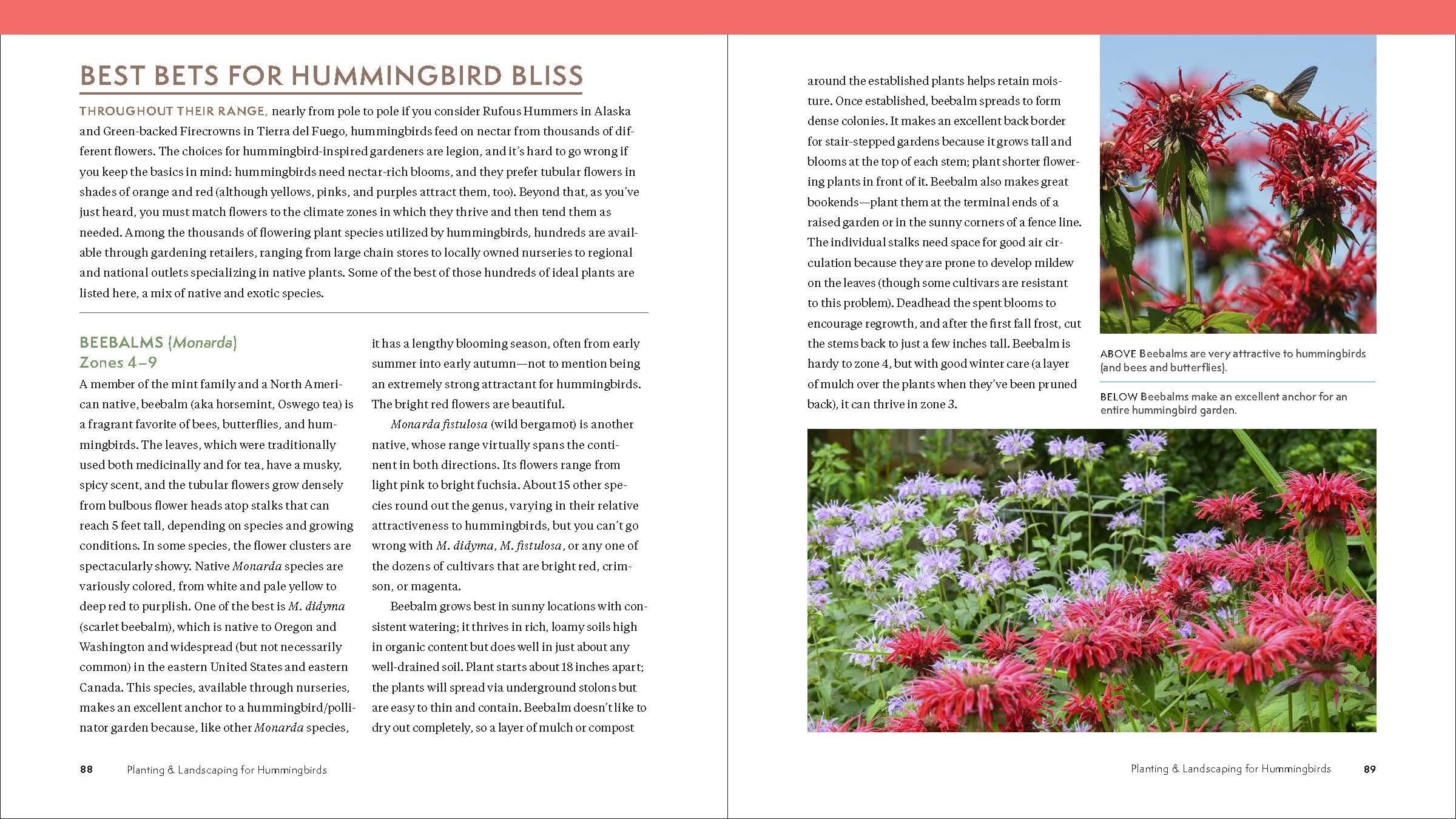 The Hummingbird Handbook: Everything You Need to Know about These Fascinating Birds The Hummingbird Handbook: Everything You Need to Know about These Fascinating Birds Paperback Kindle
