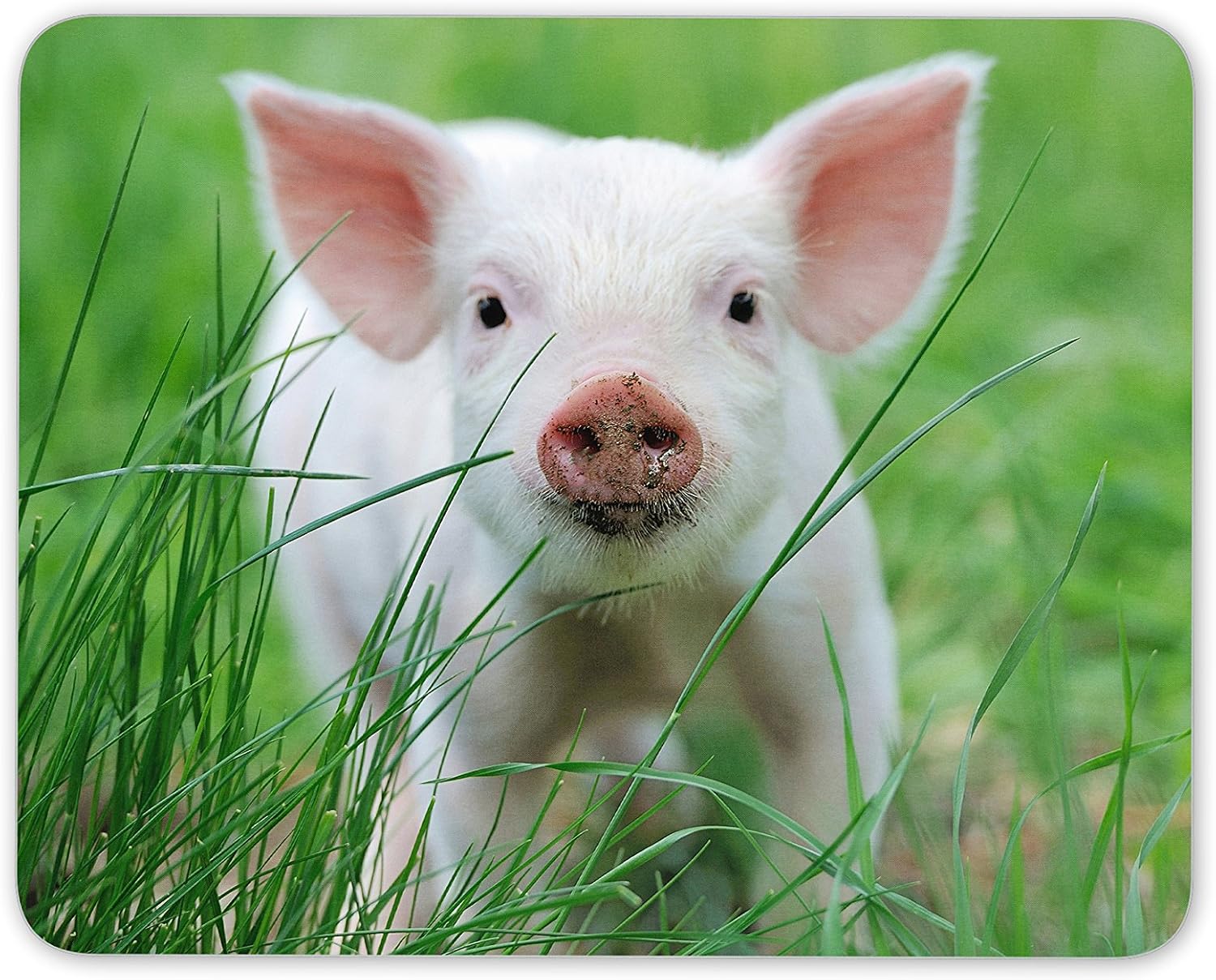 Cute Pink Piglet Mouse Mat Pad - Pig Pigs Farm Animal Kids Computer #13031, Multicolor, 23.5cm x 19.6cm x 5mm