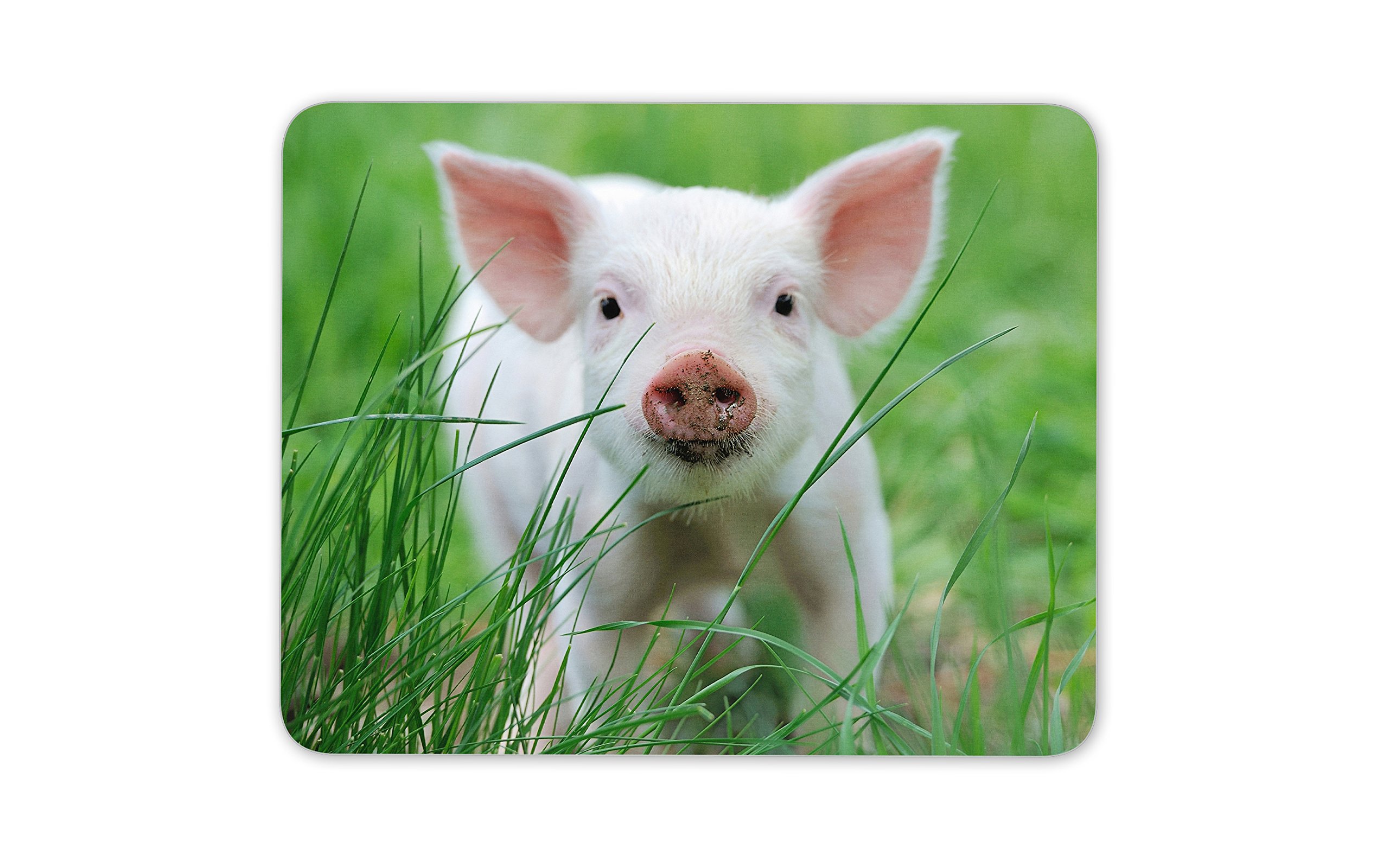 Cute Pink Piglet Mouse Mat Pad - Pig Pigs Farm Animal Kids Computer #13031