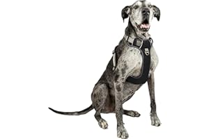 EMBARK PETS Embark Adventure XL Dog Harness No-Pull Dog Harnesses for Extra Large, Medium and Small Dogs. 2 Leash Clips, Front & Back with Control Handle, Adjustable Black Dog Vest, Soft & Padded for Comfort