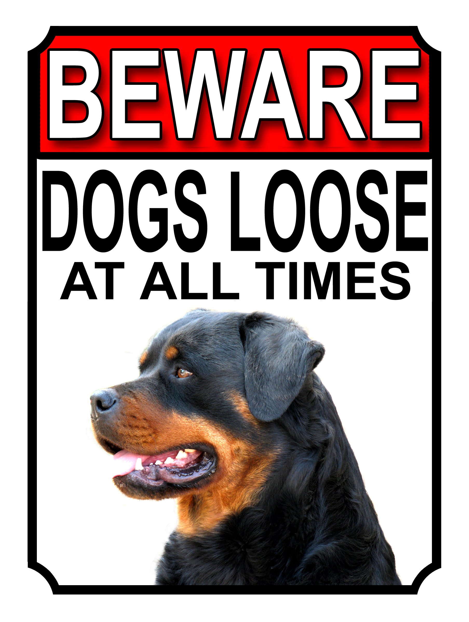SHAWPRINT BEWARE DOGS LOOSE AT ALL TIMES METAL SIGN ROTTWEILER 200MM X 150MM (1014H1) โ image 1