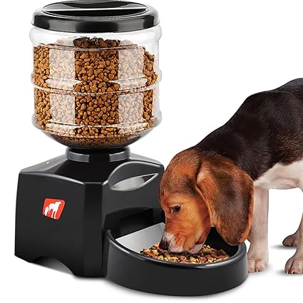 Buy Magicpeony 5 5l Automatic Pet Feeder Food Dispenser With Voice