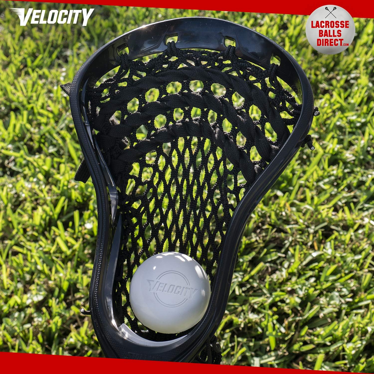 Velocity Lacrosse Balls – Official Sized NFHS, SEI, and NCAA Approved - Meets NOCSAE Standard | Approved Competition Colors and Single or Bulk Sizing Available. : Sports & Outdoors
