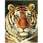 HommomH 60"x80" Yellow Tiger Face Blanket Animal Art Painting Soft Fluffy Fleece Throw for Couch Sofa Bed