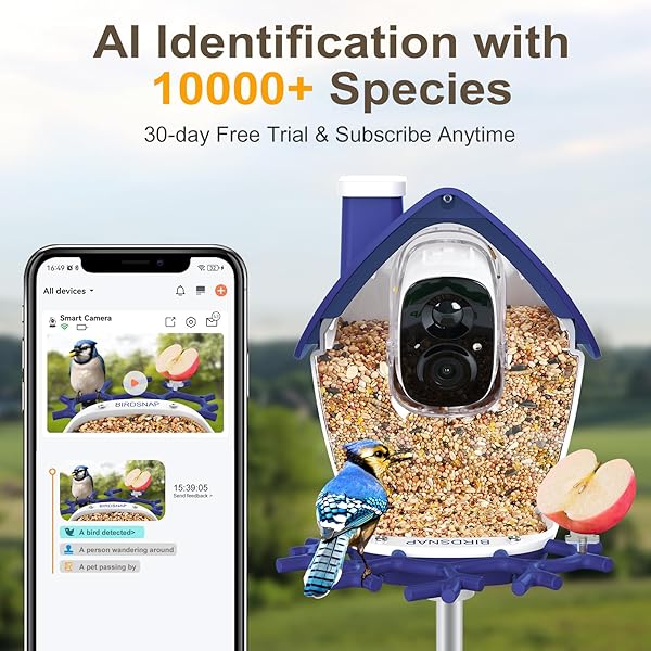 BIRDSNAP® P33 – SMART BIRD FEEDER WITH CAMERA SOLAR POWERED, 2K VIDEO BIRD CAMERA FEEDER LIVE WITH 32GB CARD, AI IDENTIFY FEATHER SPECIES, AUTO RECORD IN BACKYARD, IDEAL GIFT FOR BIRDS LOVER