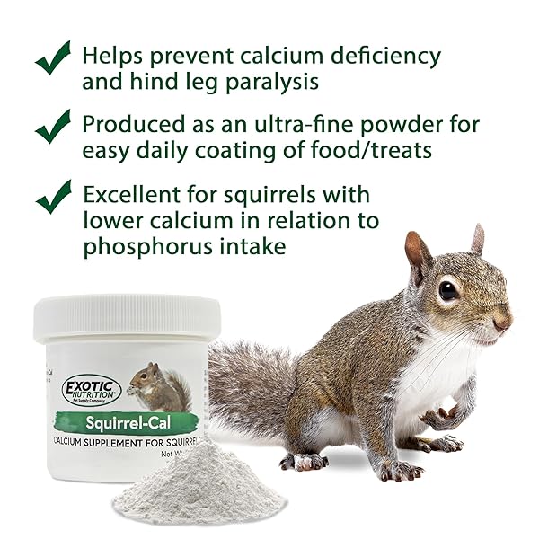 SQUIRREL-CAL 3.5 OZ. – ULTRA-FINE POWDERED CALCIUM SUPPLEMENT – FOR PET SQUIRRELS