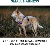 Embark Pets No Pull Harness for Dogs Front Back Leash Clips Reflective view 2
