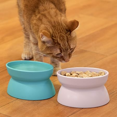 no bowl cat feeder amazon