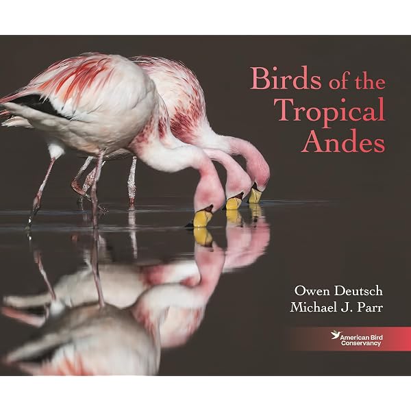 Amazon.com: Bringing Back the Birds: Exploring Migration and