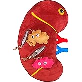 GIANTmicrobes Deluxe 12" Kidney Plush with Kidney Stones, Kidney Stuffed Animal, Kidney Transplant Gifts, Kidney Donor Gifts, Kidney Pillow, Urology Gifts, Nephrology Gifts, Dialysis Nurse Gifts